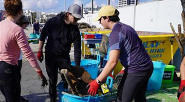 Over 3.5 tonnes of waste collected from Manoel Island Marina